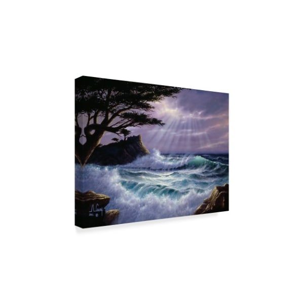 Anthony Casay 'Waves Under Clouds 3' Canvas Art,35x47